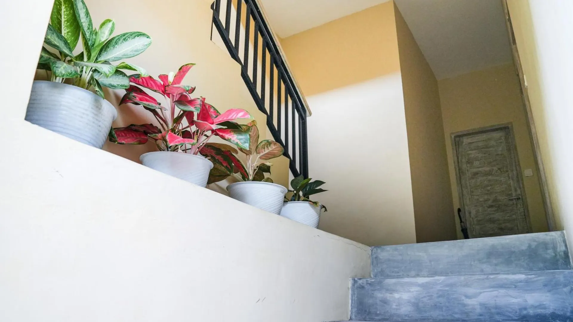 Utu Studio - Ubud Most Center 2Nd Fl With Kitchenette شقة